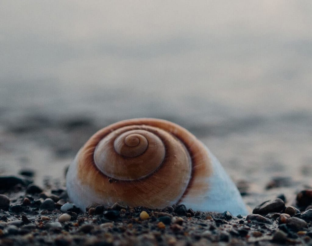 Scenic image representing holistic therapy approach